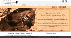 Desktop Screenshot of nechemical.com